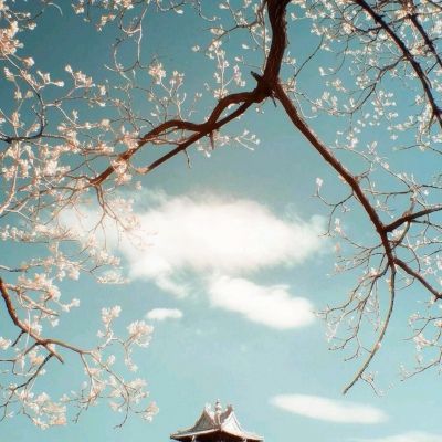 绝世武神测试版下载